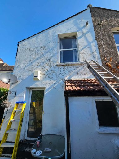 Back Wall Before