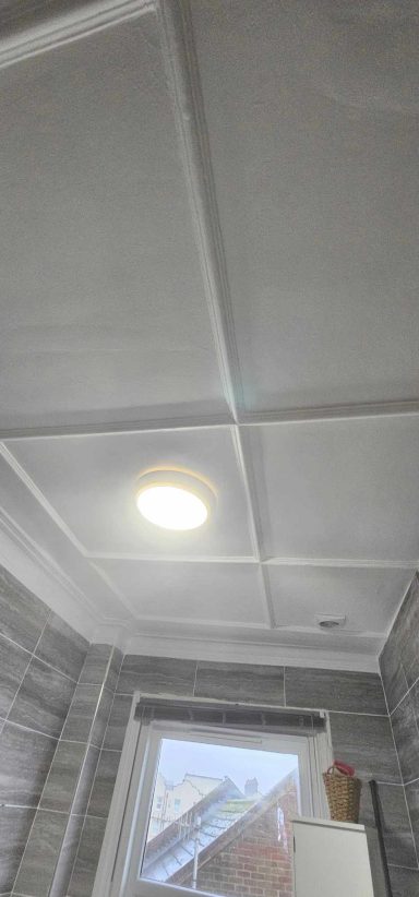 Bathroom Ceiling After Treatment & Painting