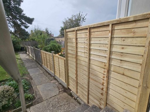 New Fence Panels & Posts