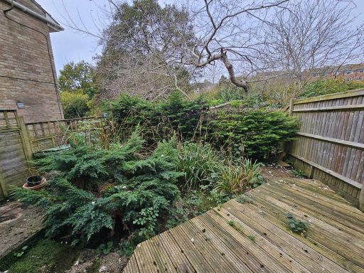 Garden Before