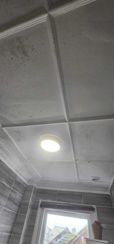 Bathroom Ceiling Before